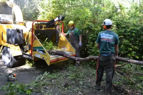 tree services Madison Center